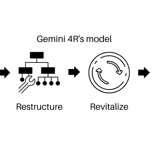 Gemini 4R's model as a strategy for driving transformational change in complex environments