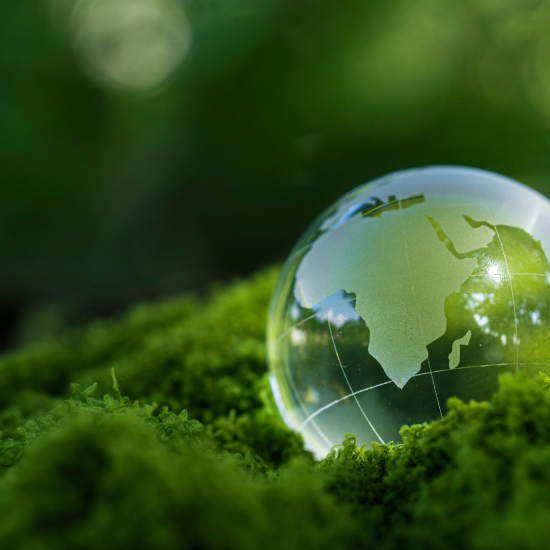 Sustainable Finance as a Strategic Imperative